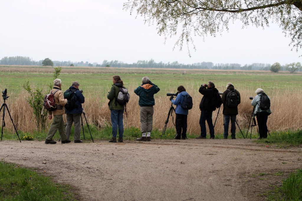 VWG vogelreis Oost Duitsland mei 2010 479